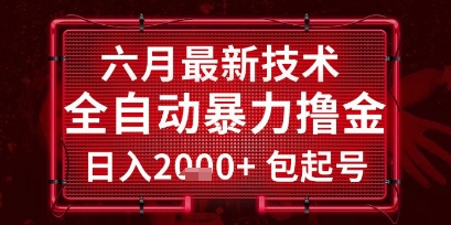 六月最新技术全自动暴力撸金，稳定日入2k+包起号，长期稳定【揭秘】-万三聊项目