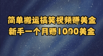 简单搬运搞笑视频挣美金，新手一个月入1k美金-万三聊项目