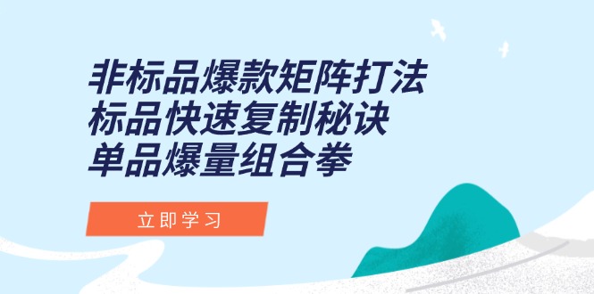 非标品爆款矩阵打法，标品快速复制秘诀，单品爆量组合拳-万三聊项目