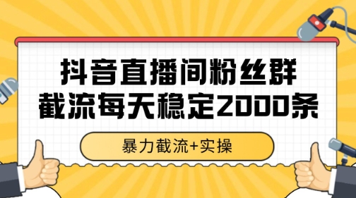 抖音直播间粉丝群暴力截流，一台电脑每天稳定2000条数据【揭秘】-万三聊项目