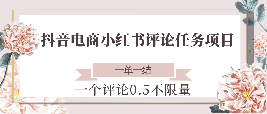 抖音电商小红书评论任务项目，一个评论0.5，一单一结 不限量-万三聊项目