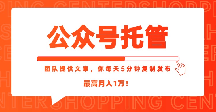 【公众号托管 】我提供文章，你每天５分钟复制发布，最高月入1W-万三聊项目
