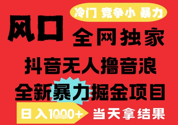 25年6月高爆抖音无人直播最新撸音浪掘金项目，解放双手小白可做，无脑日入1k+，门槛低【揭秘】-万三聊项目