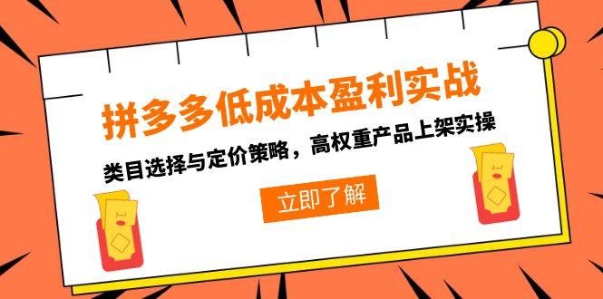 拼多多低成本盈利实战，类目选择与定价策略，高权重产品上架实操-万三聊项目