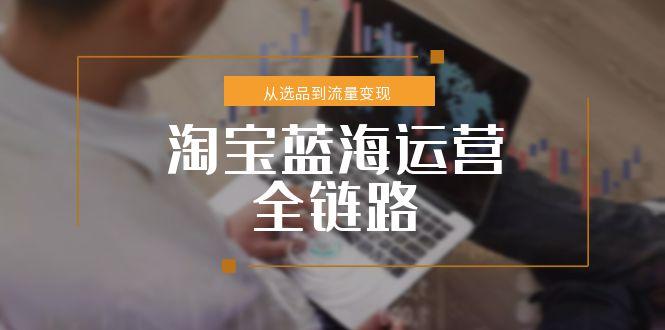 淘宝蓝海运营全链路，从选品到流量变现，小类目突围完整方案-万三聊项目