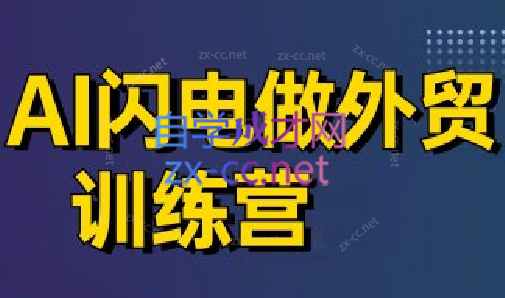 大卫·AI闪电做外贸训练营(更新6月)-万三聊项目