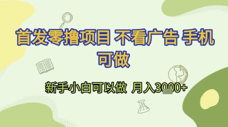 首发零撸项目 不看广告 手机可做 新手小白可以做  月入3k+【揭秘】-万三聊项目