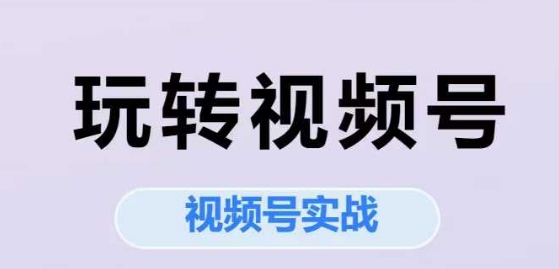 玩转视频号，视频号实战系列课-万三聊项目