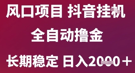 风口项目，六月最新玩法抖音无人挂G，全自动撸金，长期稳定 日入2k+【揭秘】-万三聊项目