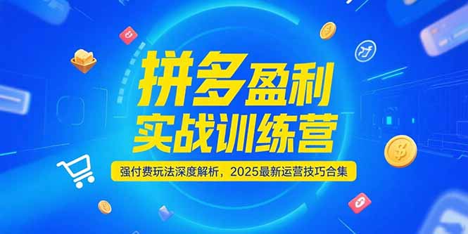 拼多多盈利实战训练营，强付费玩法深度解析，2025运营技巧合集-更新6月-万三聊项目