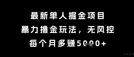 最新单人掘金项目，暴力撸金玩法，无风控，每个月多挣5k+【揭秘】-万三聊项目