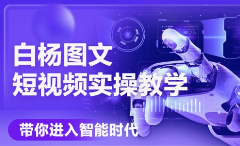 白杨老师·Ai图文短视频实操课(更新6月)-万三聊项目