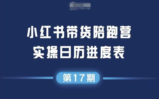 小红书第17期带货陪跑营，不囤货，无不直播，无不投流，通过选品+笔记内容+测品+笔记铺量+矩阵运营打爆款-万三聊项目