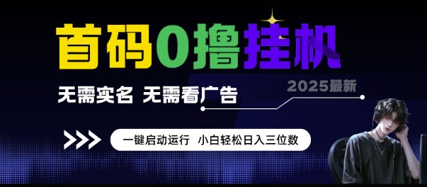 首码0撸挂G项目，无需实名无需看广告 一键启动运行，小白轻松日入三位数【揭秘】-万三聊项目