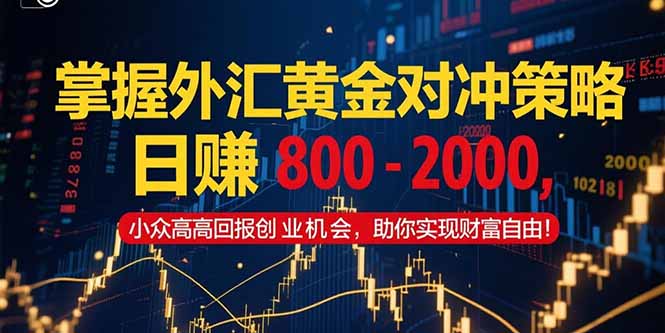 掌握外汇黄金对冲策略，日赚 800 – 2000，小众高回报创业机会，助你实…-万三聊项目
