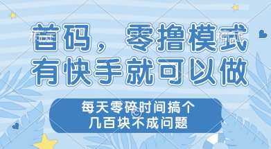 首码零撸项目，有快手就可以做，每天业务时间搞个几张不是问题【揭秘】-万三聊项目