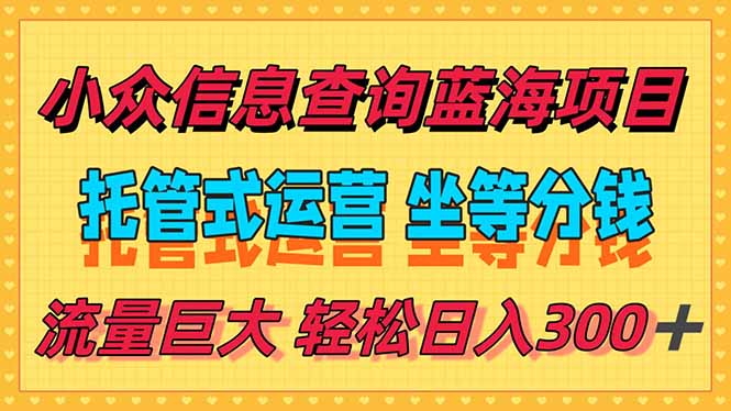稳定日入300＋，小众信息查询蓝海项目，全程懒人式托管，解放你的时间-万三聊项目