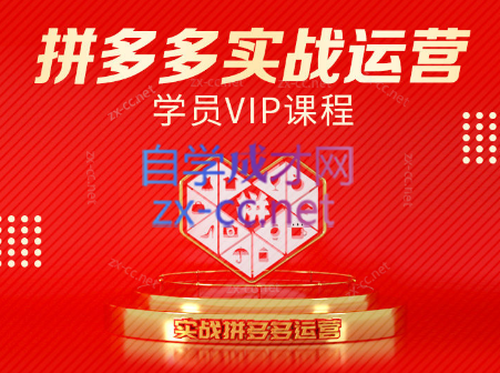 推易电商·拼多多实战运营课(更新2025月)-万三聊项目
