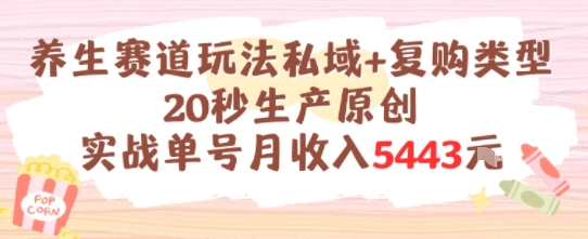 养生赛道玩法私域+复购类型，20秒生产原创实战单号月收入5k+-万三聊项目
