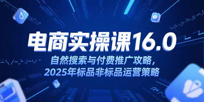 淘宝电商运营课16.0，自然搜索与付费推广攻略，2025年标品非标品运营策略-万三聊项目