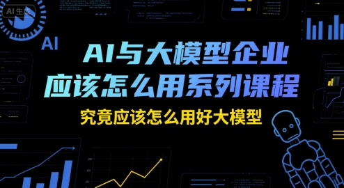 AI与大模型企业应该怎么用系列课程，究竟应该怎么用好大模型-万三聊项目