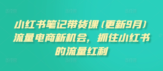 小红书笔记带货课(更新25年6月)流量电商新机会，抓住小红书的流量红利-万三聊项目