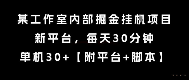 某工作室内部掘金挂G项目，新平台，每天30分钟，单机30+【揭秘】-万三聊项目