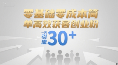 零基础零成本简单高效获客创业粉，一天引流30+-万三聊项目