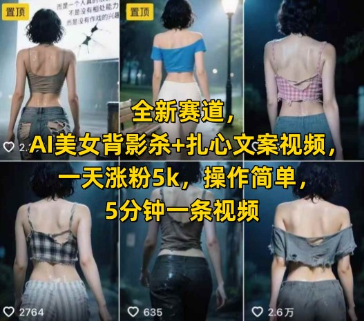 全新赛道，AI美女背影杀+扎心文案视频，一天涨粉5k，操作简单，5分钟一条视频-万三聊项目