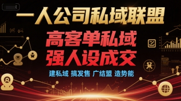 一人公司私域联盟，高客单私域，强人设成交，建私域 搞发售 广结盟 造势能-万三聊项目
