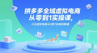 拼多多全域虚拟电商从零到1实操课，小白虚拟电商从0到1实操到精通-万三聊项目