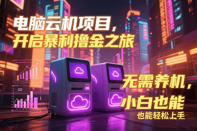 电脑云机项目 暴力撸金玩法，不需要养机 配置没有要求 单机100个窗口一…-万三聊项目