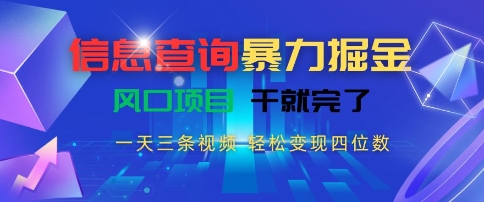 信息查询暴力掘金，一天三条视频，轻松变现四位数，风口项目干就完了【揭秘】-万三聊项目