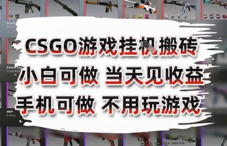CSGO游戏挂G搬砖，小白纯手机即可操作，不用电脑打游戏，日入3张+，副业网创项目【揭秘】-万三聊项目