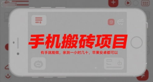 手机搬砖项目，有手就能做，亲测一小时几十，苹果安卓都可以-万三聊项目