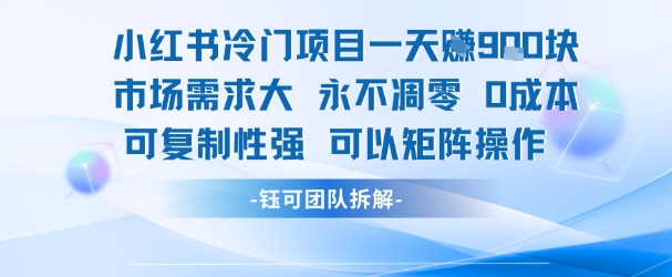 小红书冷门项目一天收益9张，市场需求大，0成本，可复制性强可以矩阵操作-万三聊项目