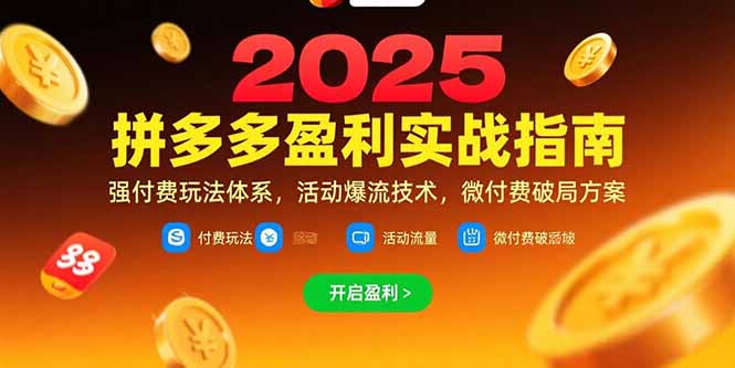 拼多多盈利实战指南，强付费玩法，活动爆流技术，微付费破局方案(更新7月-万三聊项目