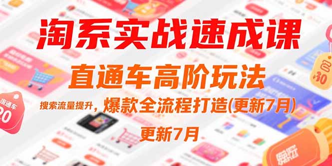 淘系实战速成课，直通车高阶玩法，搜索流量提升，爆款全流程打造(更新7月-万三聊项目