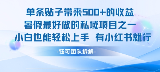 单条贴子带来5张的收益，暑假最好做的私域项目之一，小白也能轻松上手，有小红书就行-万三聊项目