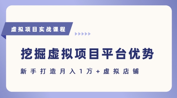 抓住虚拟项目各平台优势，新手轻松月入1W+(给出具体建议)-万三聊项目