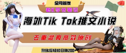 海外tiktok小说推文暴力项目，高停留率，高转化率，上手后一天搞顿饭钱不是问题-万三聊项目