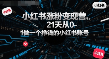小红书涨粉变现营，21天从0-1做一个挣钱的小红书账号-万三聊项目