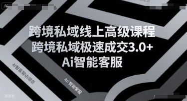 跨境私域线上高级课程，跨境私域极速成交3.0+Ai智能客服-万三聊项目