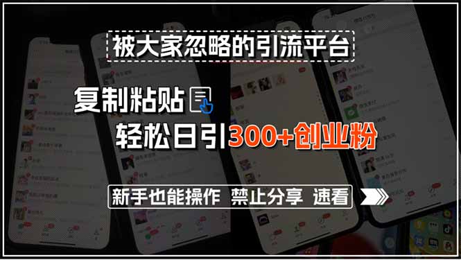 被大家忽略的引流平台，复制粘贴轻松日引300+创业粉，新手也能操作，禁…-万三聊项目