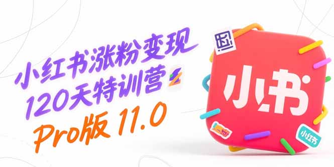 小红书涨粉变现120天特训营Pro版11.0：从0到1掌握平台运营,内容制作和变现-万三聊项目