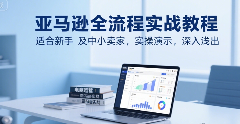 亚马逊全流程实战教程，适合新手及中小卖家，实操演示，深入浅出-万三聊项目