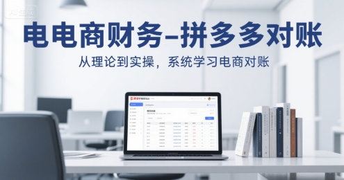 电商财务-拼多多对账，从理论到实操，系统学习电商对账-万三聊项目