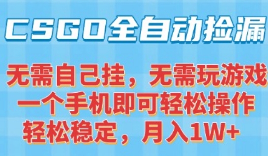 CSGO自动捡漏项目，最新独家玩法，一个手机可操作，新手小白轻松月入1W+，操作简单易上手【揭秘】-万三聊项目