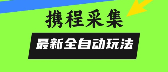 携程信息采集全自动玩法，0风控，无脑开干【揭秘】-万三聊项目