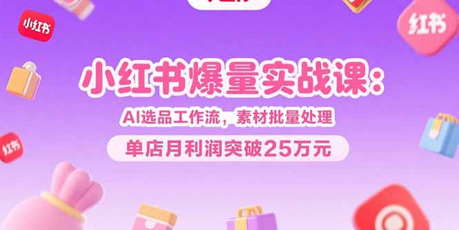 小红书爆量实战课：AI选品工作流，素材批量处理，单店月利润突破25万元-万三聊项目